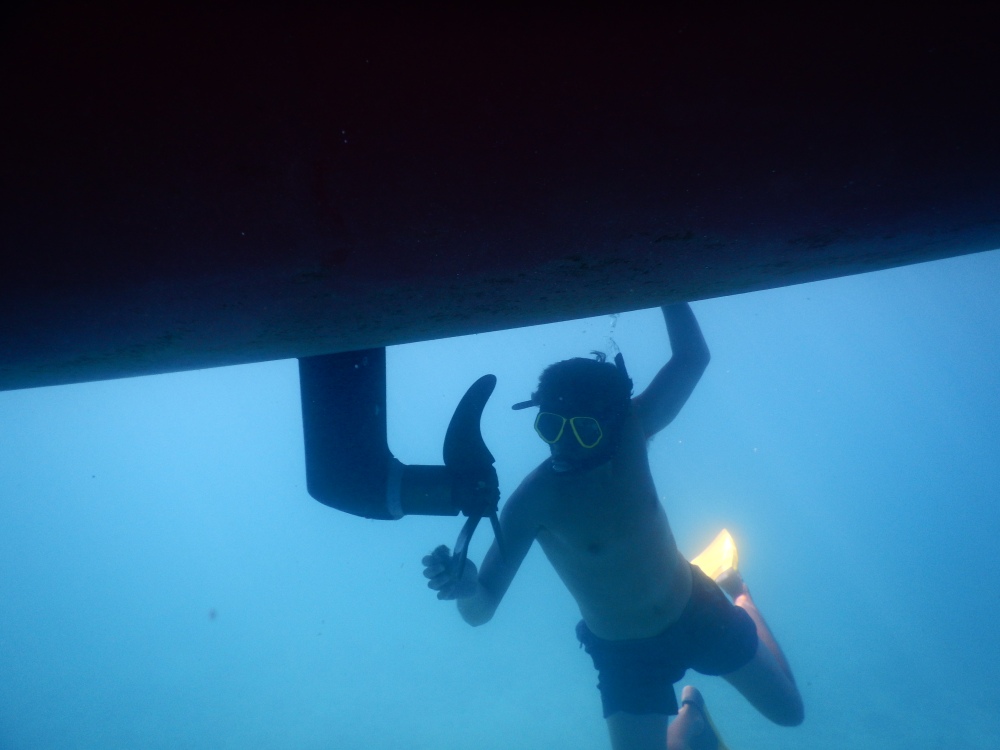 Underwater Jelle